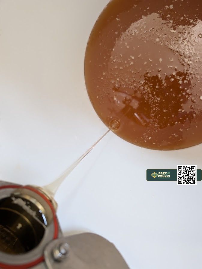 Próbka miodu - wynik aktywności z raportu laboratorium